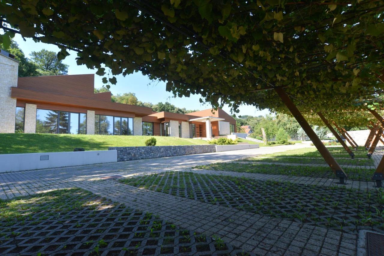 Villa Luxury Rooms - Wine Resort Smederevo Extérieur photo